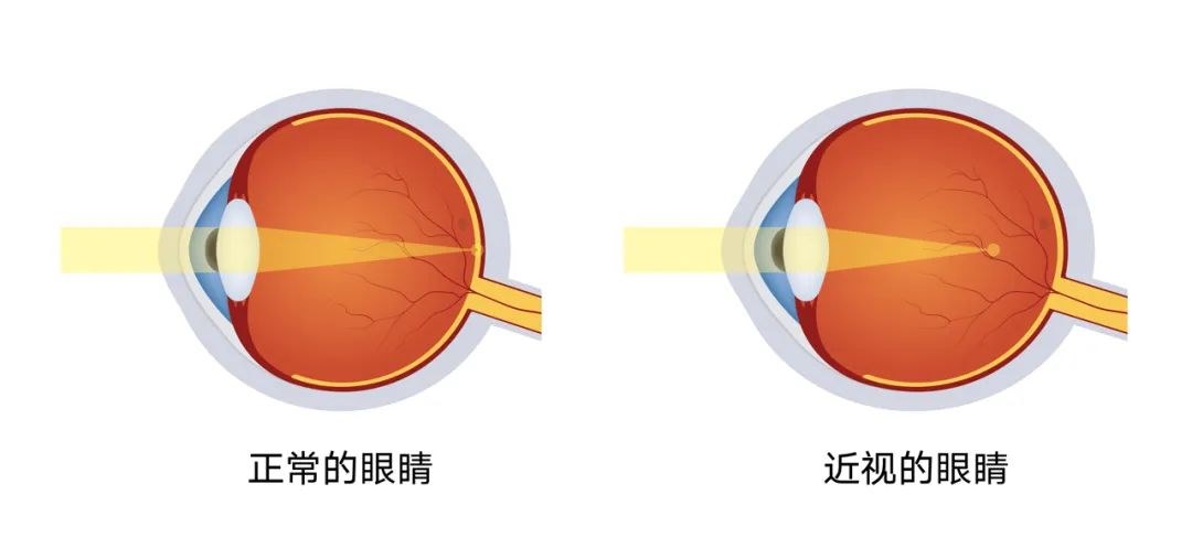 圖片.png 圖片.png